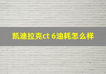 凯迪拉克ct 6油耗怎么样